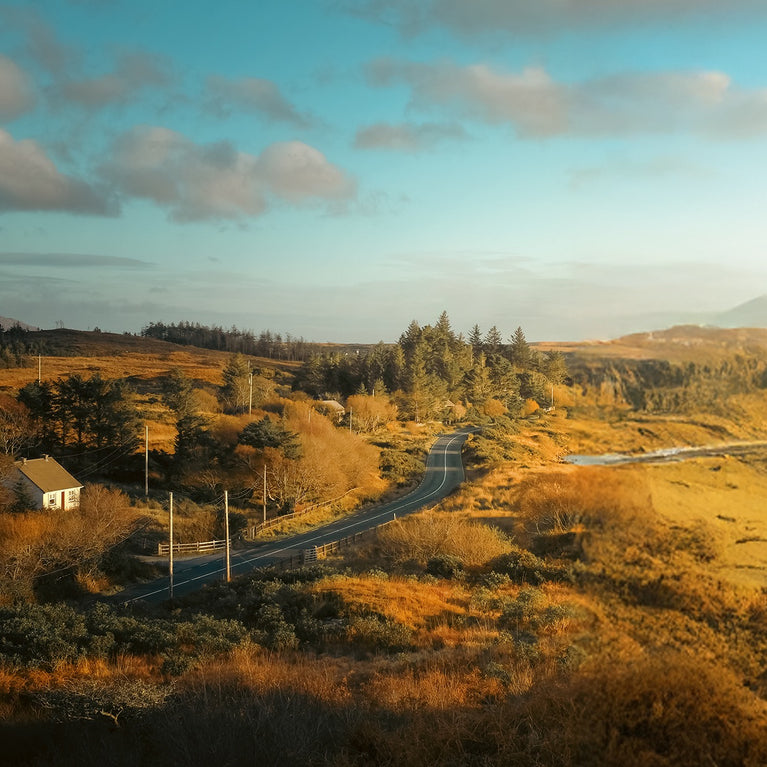 Our Journey – Blackthorn